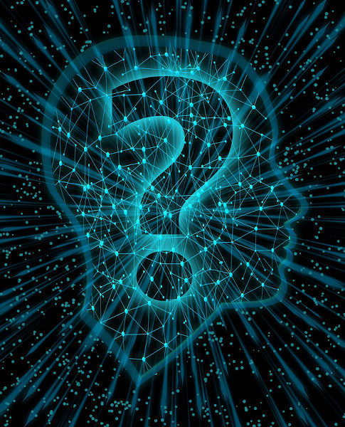 Oír es un proceso cerebral