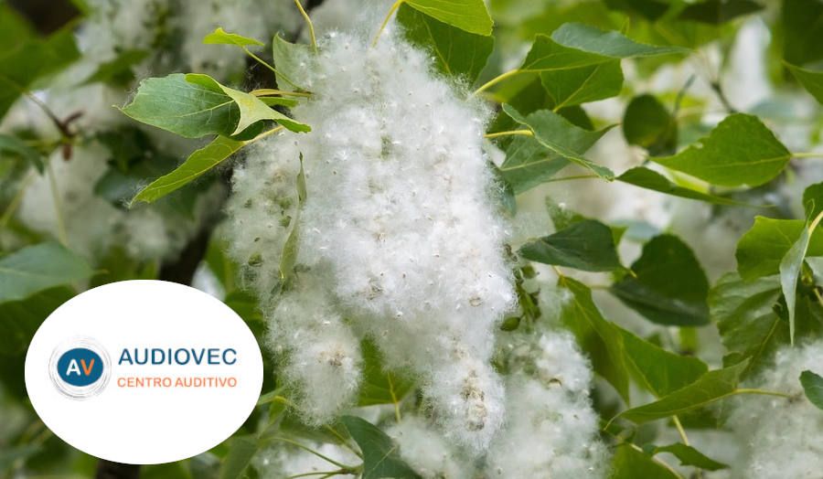 Primavera, alergias y oídos
